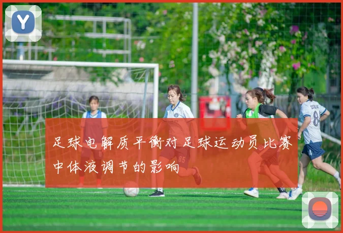 足球电解质平衡对足球运动员比赛中体液调节的影响