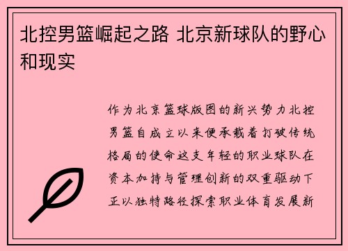 北控男篮崛起之路 北京新球队的野心和现实